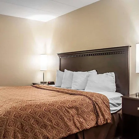 Econo Lodge Elmira-Corning Fisherville Extérieur photo